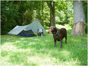 backpacking tent2